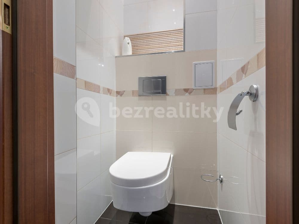 1 bedroom with open-plan kitchen flat to rent, 55 m², Ruská, Prague, Prague 1 bedroom with open-plan kitchen flat to rent, 55 m², Ruská, Prague, Prague