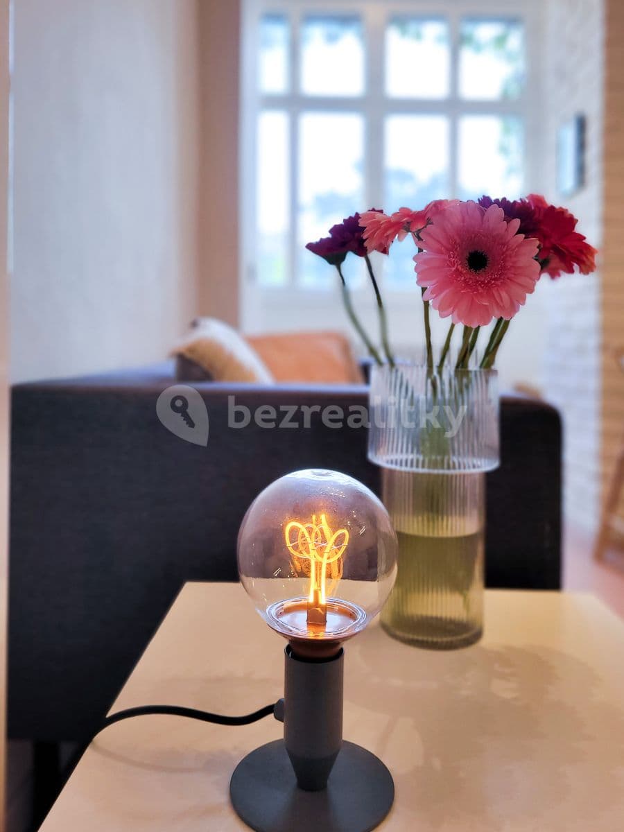 1 bedroom with open-plan kitchen flat to rent, 45 m², Šafaříkova, Prague, Prague 1 bedroom with open-plan kitchen flat to rent, 45 m², Šafaříkova, Prague, Prague