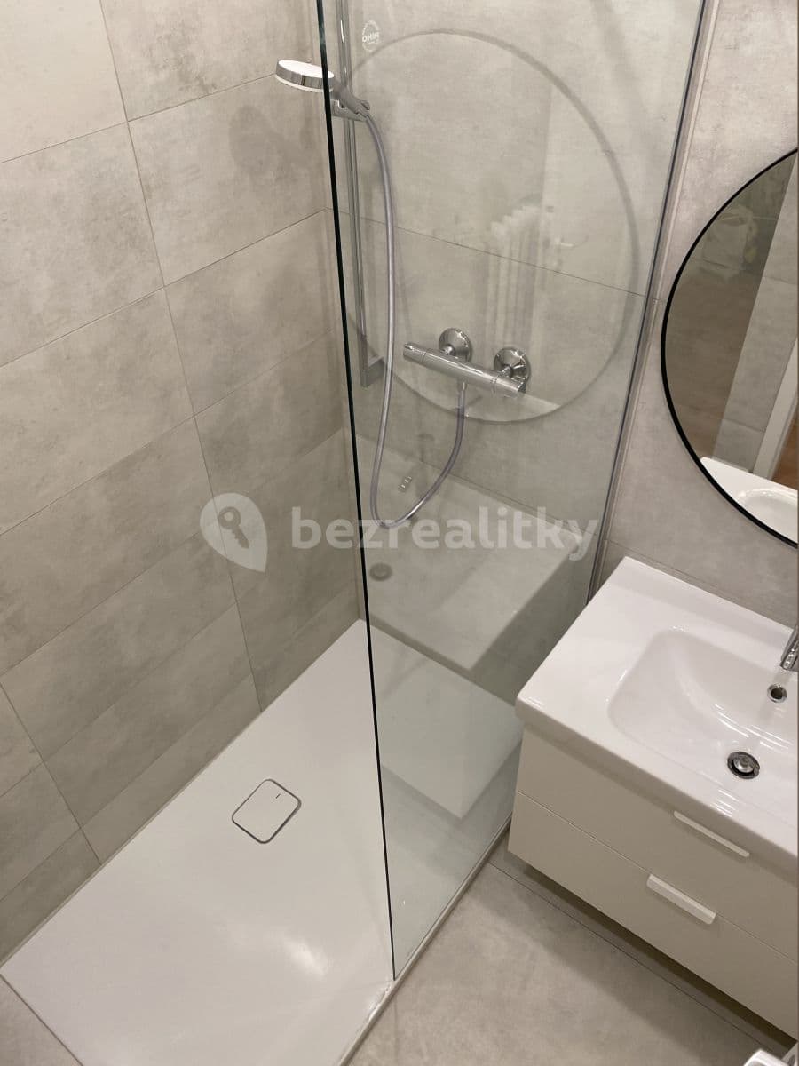 1 bedroom with open-plan kitchen flat to rent, 45 m², Šafaříkova, Prague, Prague 1 bedroom with open-plan kitchen flat to rent, 45 m², Šafaříkova, Prague, Prague