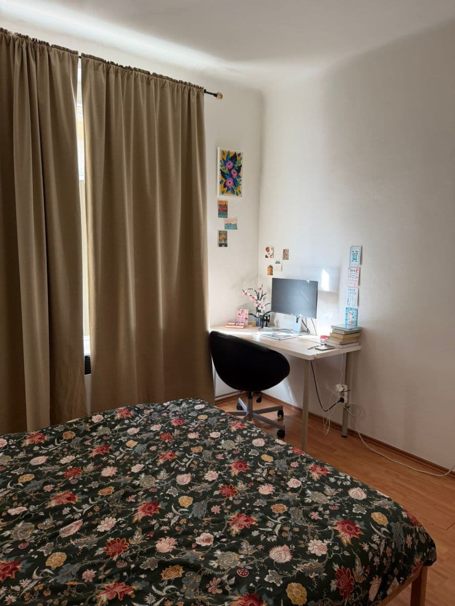 1 bedroom with open-plan kitchen flat to rent, 50 m², Žerotínova, Prague, Prague 1 bedroom with open-plan kitchen flat to rent, 50 m², Žerotínova, Prague, Prague