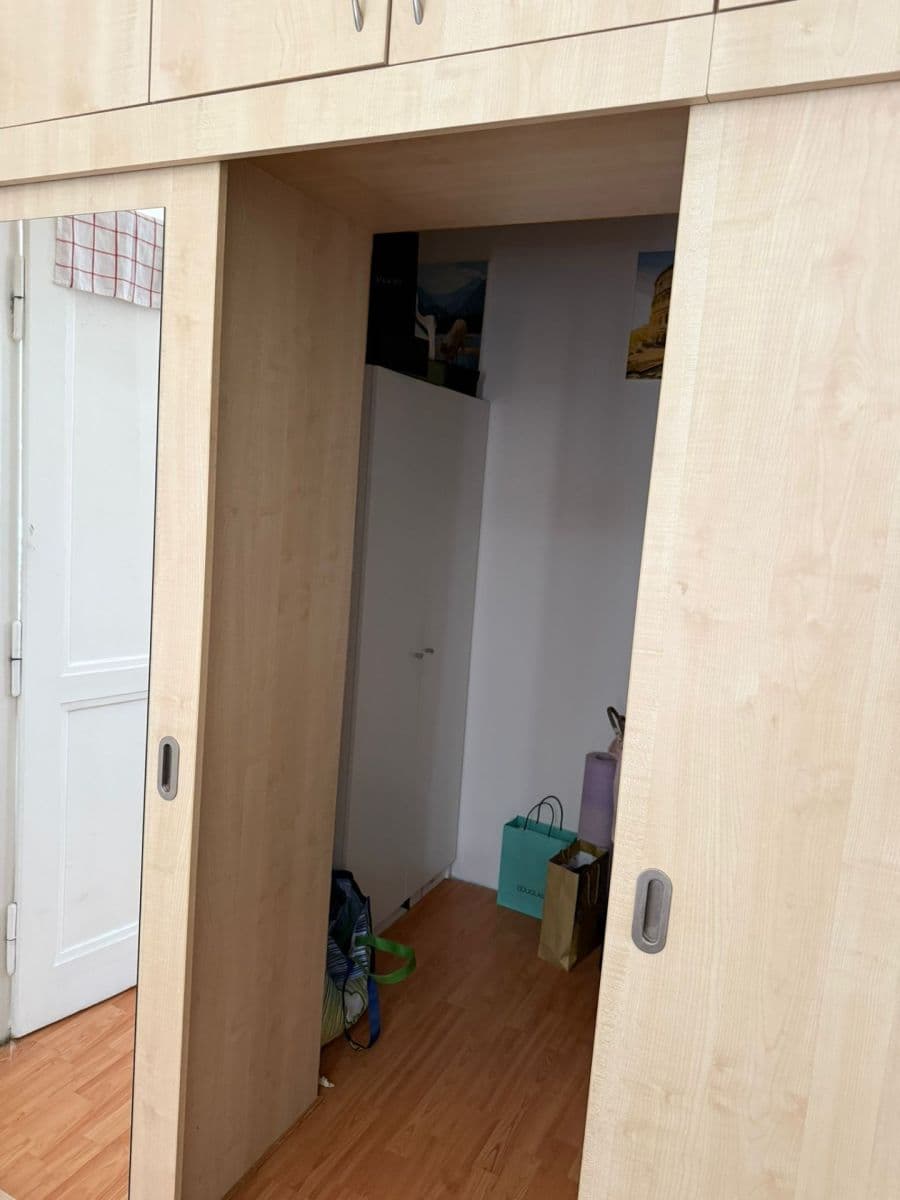 1 bedroom with open-plan kitchen flat to rent, 50 m², Žerotínova, Prague, Prague 1 bedroom with open-plan kitchen flat to rent, 50 m², Žerotínova, Prague, Prague