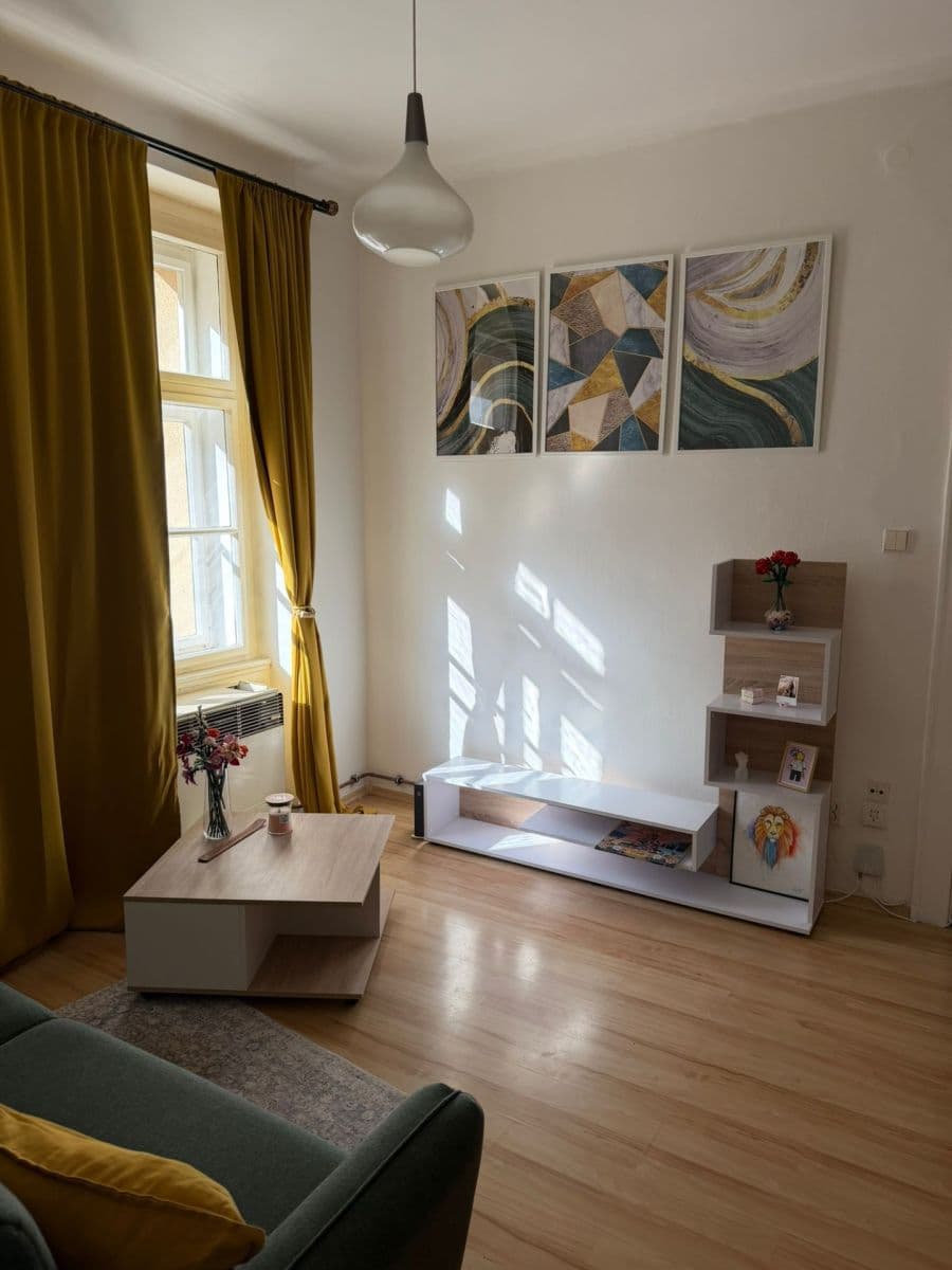 1 bedroom with open-plan kitchen flat to rent, 50 m², Žerotínova, Prague, Prague 1 bedroom with open-plan kitchen flat to rent, 50 m², Žerotínova, Prague, Prague