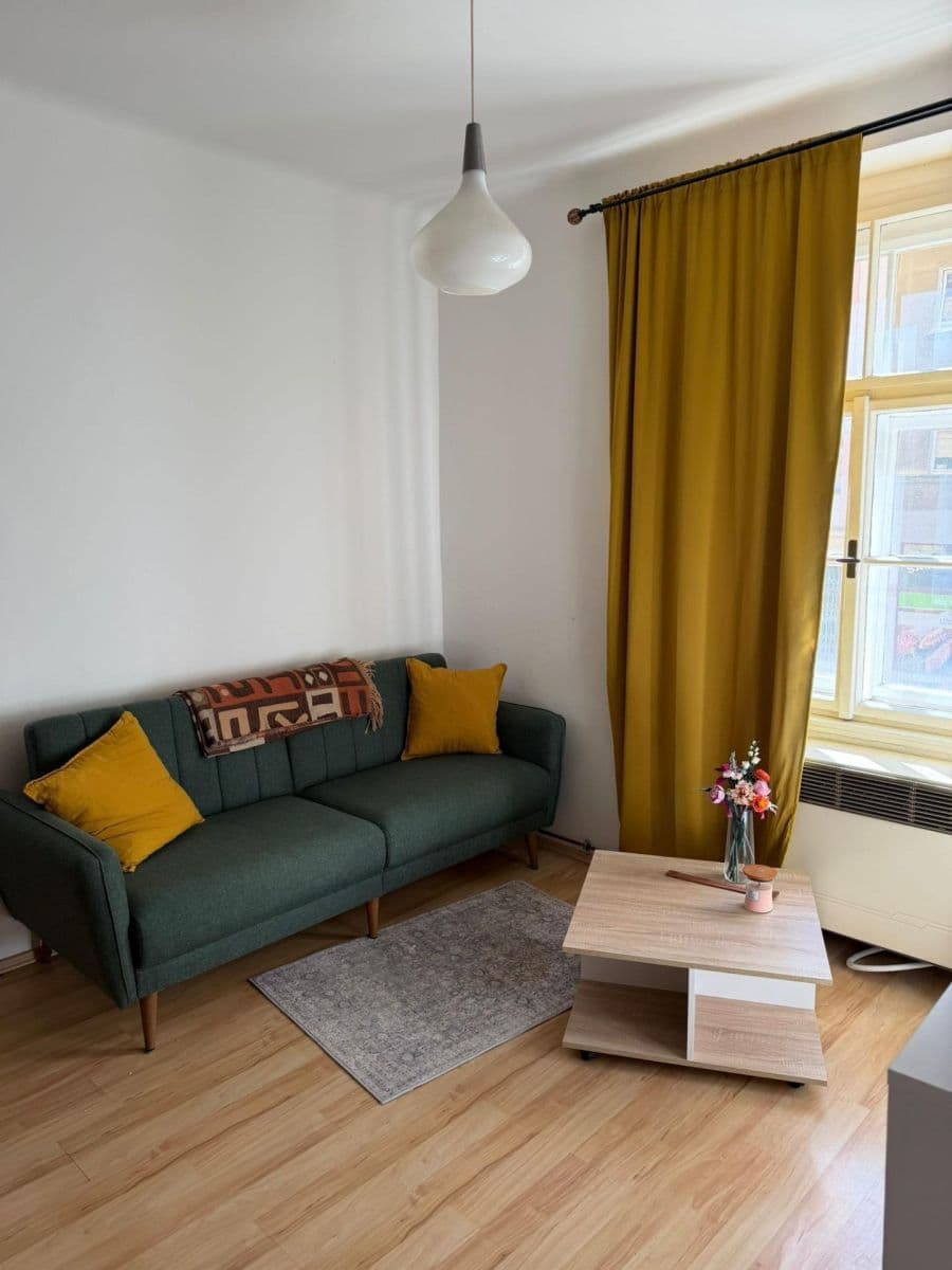 1 bedroom with open-plan kitchen flat to rent, 50 m², Žerotínova, Prague, Prague 1 bedroom with open-plan kitchen flat to rent, 50 m², Žerotínova, Prague, Prague