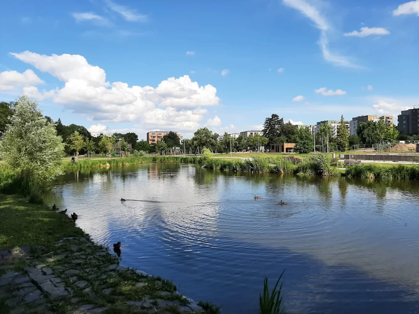 1 bedroom with open-plan kitchen flat to rent, 57 m², Modrého, Prague, Prague 1 bedroom with open-plan kitchen flat to rent, 57 m², Modrého, Prague, Prague