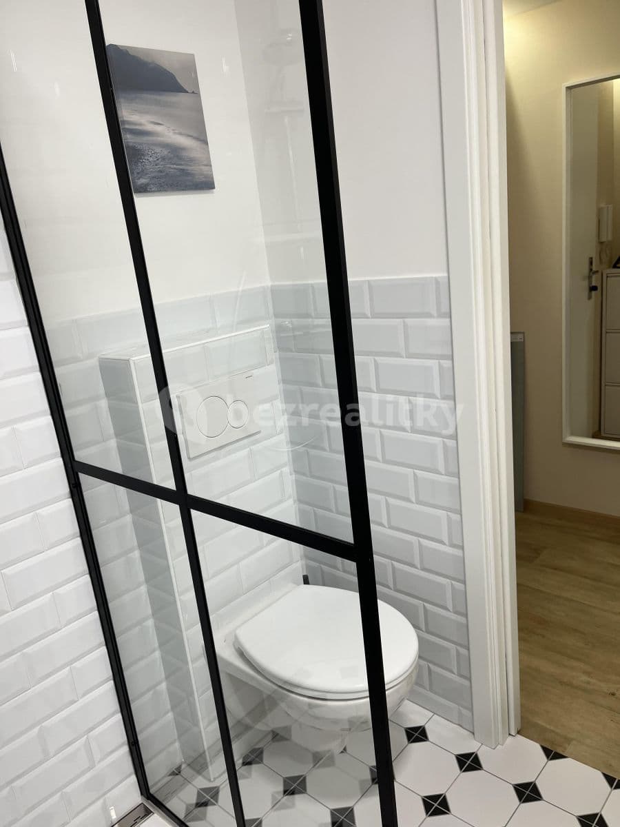 Studio flat to rent, 26 m², Jana Želivského, Prague, Prague Studio flat to rent, 26 m², Jana Želivského, Prague, Prague