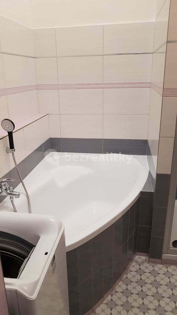 1 bedroom with open-plan kitchen flat to rent, 65 m², Vítkova, Prague, Prague 1 bedroom with open-plan kitchen flat to rent, 65 m², Vítkova, Prague, Prague