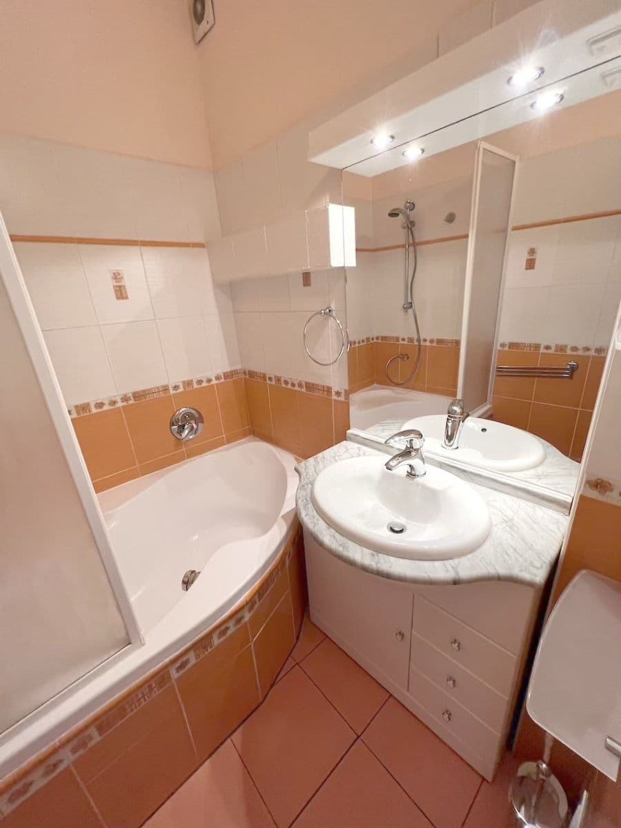 1 bedroom with open-plan kitchen flat to rent, 44 m², Magistrů, Prague, Prague 1 bedroom with open-plan kitchen flat to rent, 44 m², Magistrů, Prague, Prague