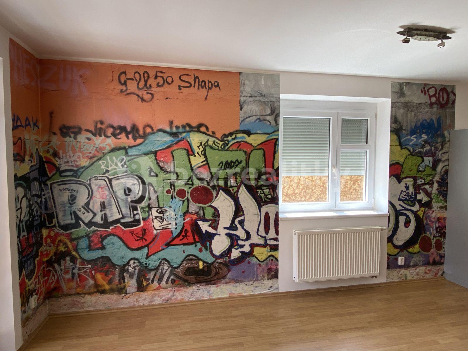 1 bedroom with open-plan kitchen flat to rent, 62 m², K Nádraží, Prague, Prague