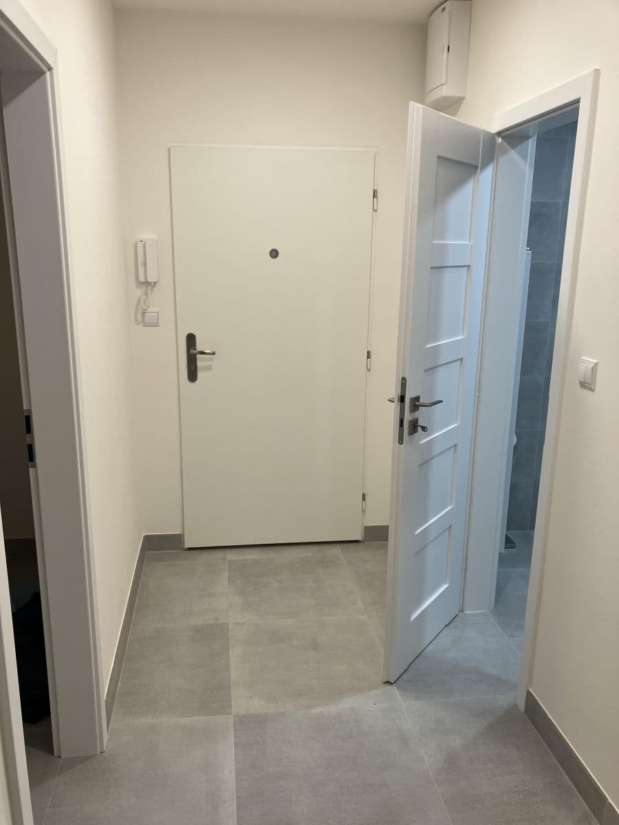 1 bedroom with open-plan kitchen flat to rent, 56 m², Přemyslovská, Prague, Prague 1 bedroom with open-plan kitchen flat to rent, 56 m², Přemyslovská, Prague, Prague