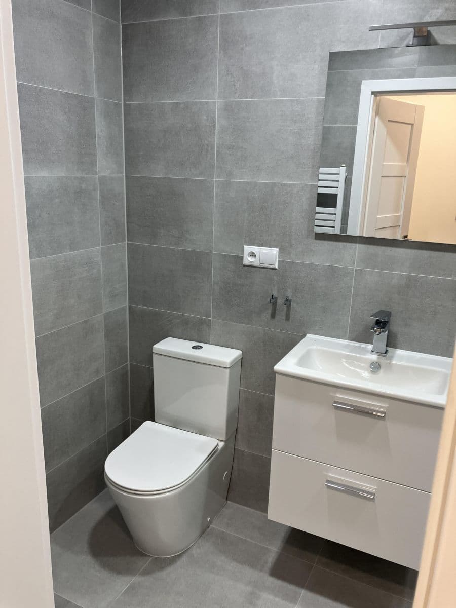 1 bedroom with open-plan kitchen flat to rent, 56 m², Přemyslovská, Prague, Prague 1 bedroom with open-plan kitchen flat to rent, 56 m², Přemyslovská, Prague, Prague