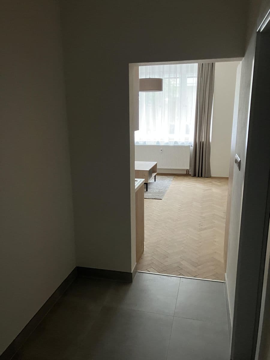 1 bedroom with open-plan kitchen flat to rent, 56 m², Přemyslovská, Prague, Prague 1 bedroom with open-plan kitchen flat to rent, 56 m², Přemyslovská, Prague, Prague