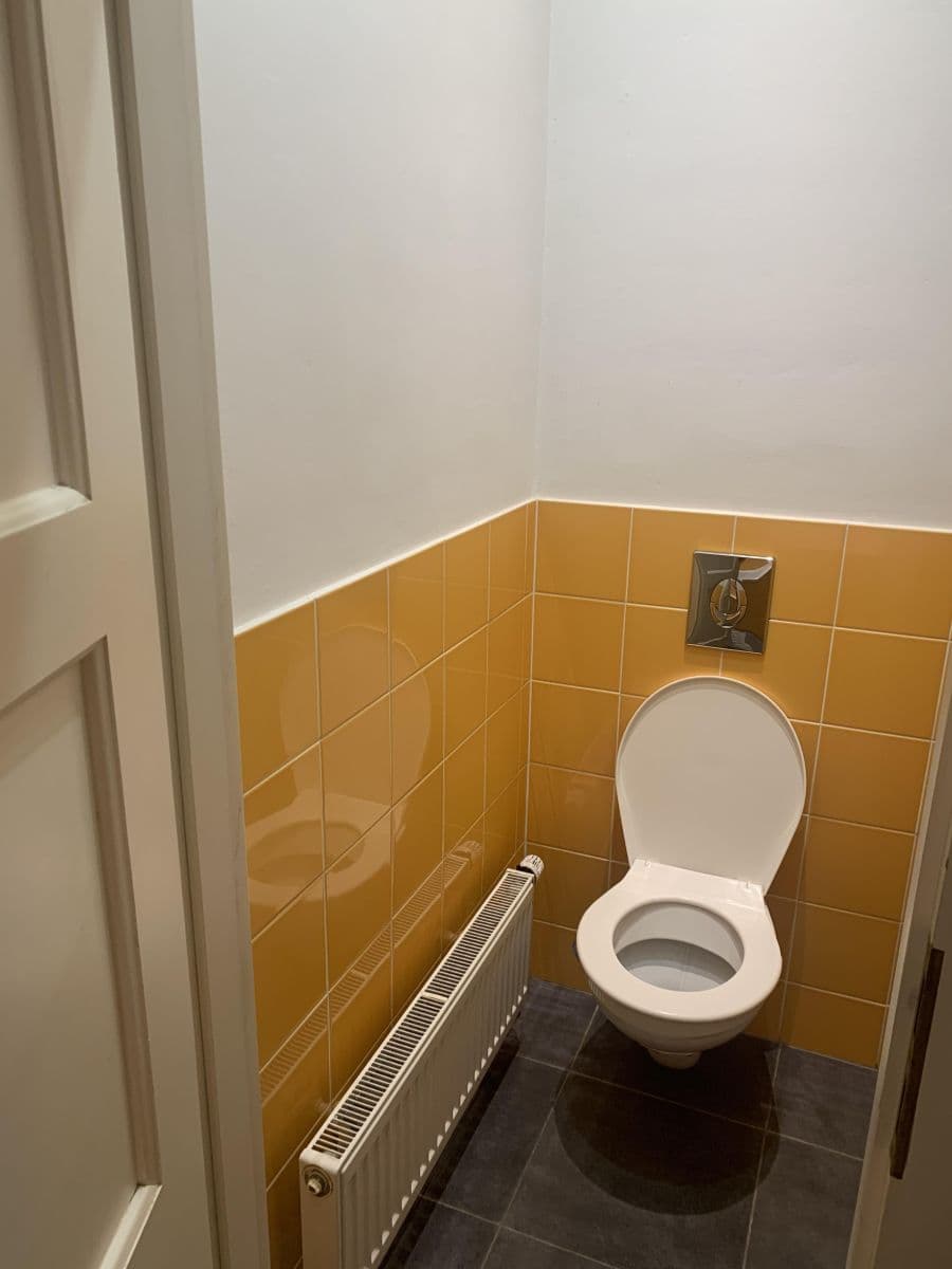 1 bedroom with open-plan kitchen flat to rent, 76 m², Zavadilova, Prague, Prague 1 bedroom with open-plan kitchen flat to rent, 76 m², Zavadilova, Prague, Prague