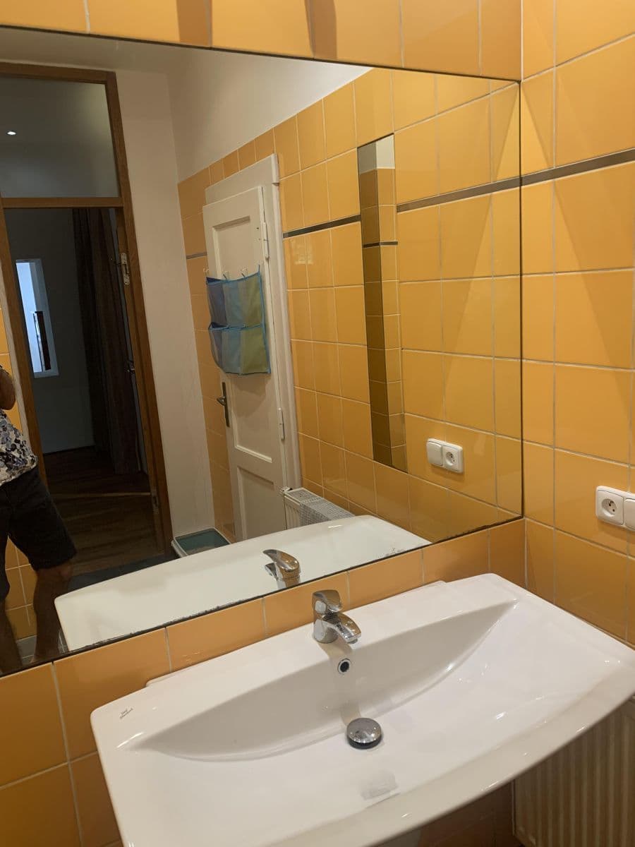 1 bedroom with open-plan kitchen flat to rent, 76 m², Zavadilova, Prague, Prague 1 bedroom with open-plan kitchen flat to rent, 76 m², Zavadilova, Prague, Prague