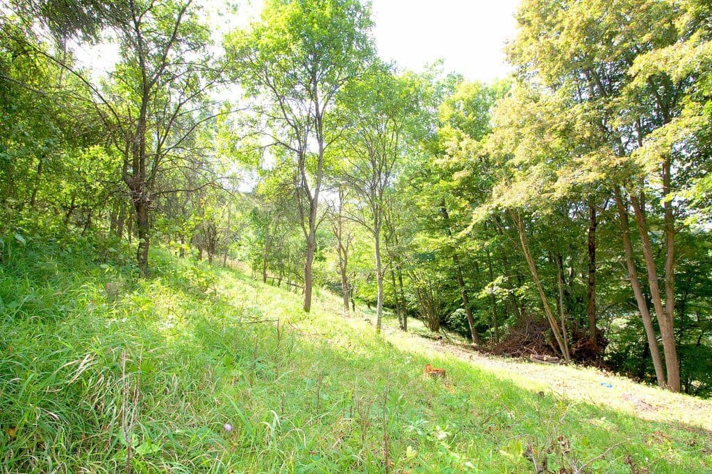 plot for sale, 2,406 m², Skalsko, Středočeský Region plot for sale, 2,406 m², Skalsko, Středočeský Region