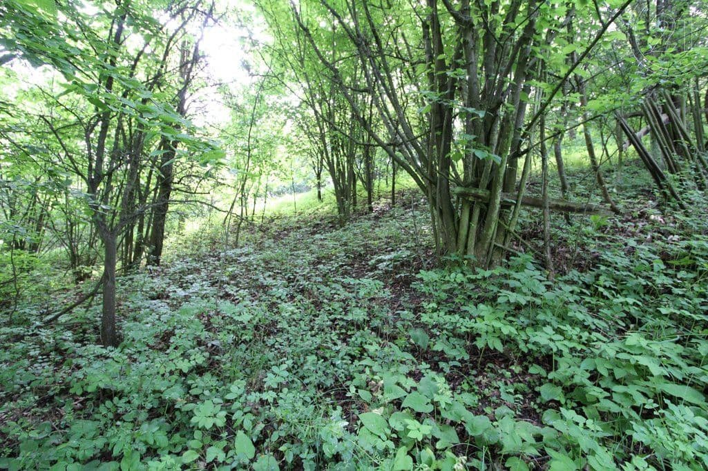 plot for sale, 2,406 m², Skalsko, Středočeský Region plot for sale, 2,406 m², Skalsko, Středočeský Region
