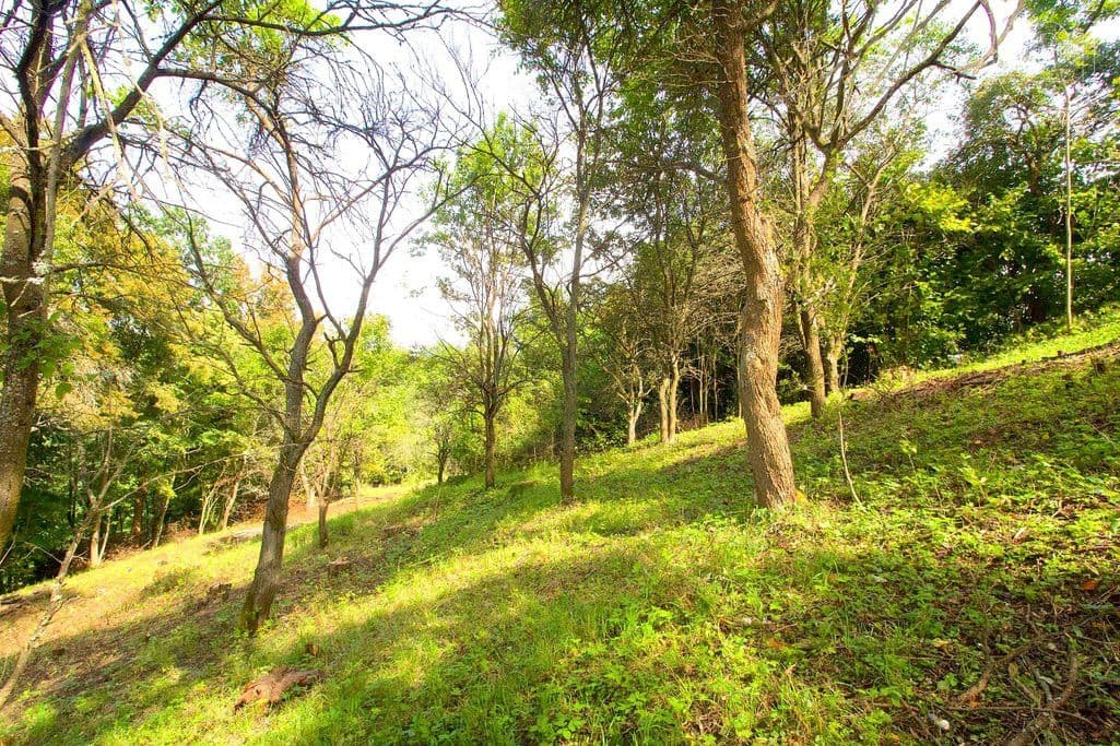 plot for sale, 2,406 m², Skalsko, Středočeský Region plot for sale, 2,406 m², Skalsko, Středočeský Region