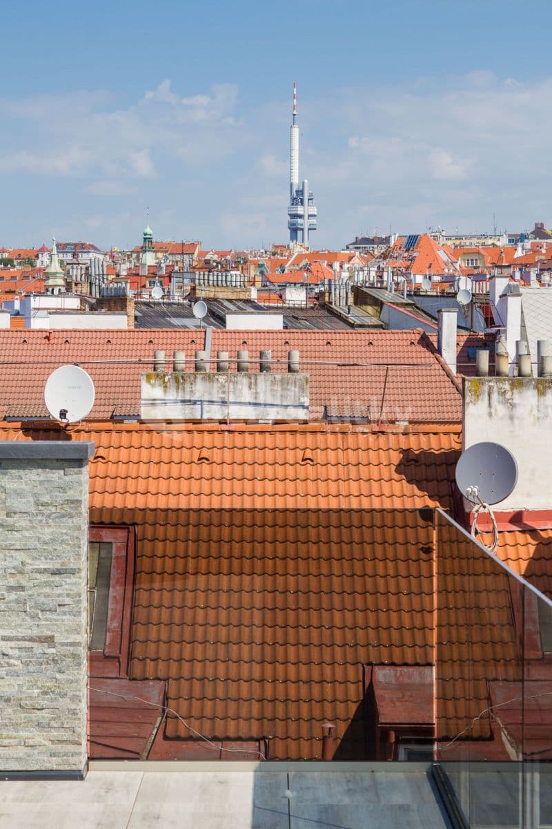 1 bedroom with open-plan kitchen flat to rent, 51 m², Na Louži, Prague, Prague 1 bedroom with open-plan kitchen flat to rent, 51 m², Na Louži, Prague, Prague