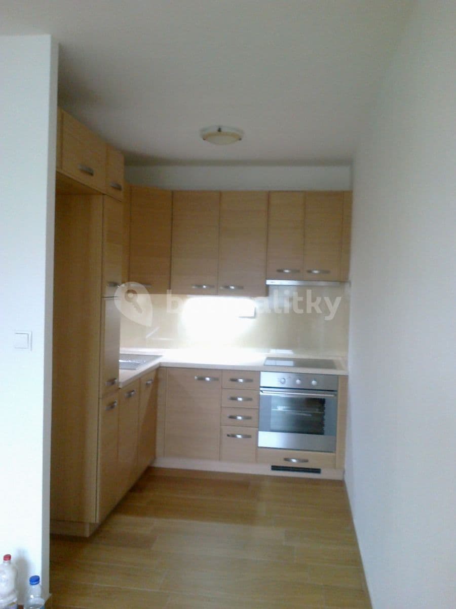 1 bedroom with open-plan kitchen flat to rent, 45 m², Hráského, Prague, Prague 1 bedroom with open-plan kitchen flat to rent, 45 m², Hráského, Prague, Prague