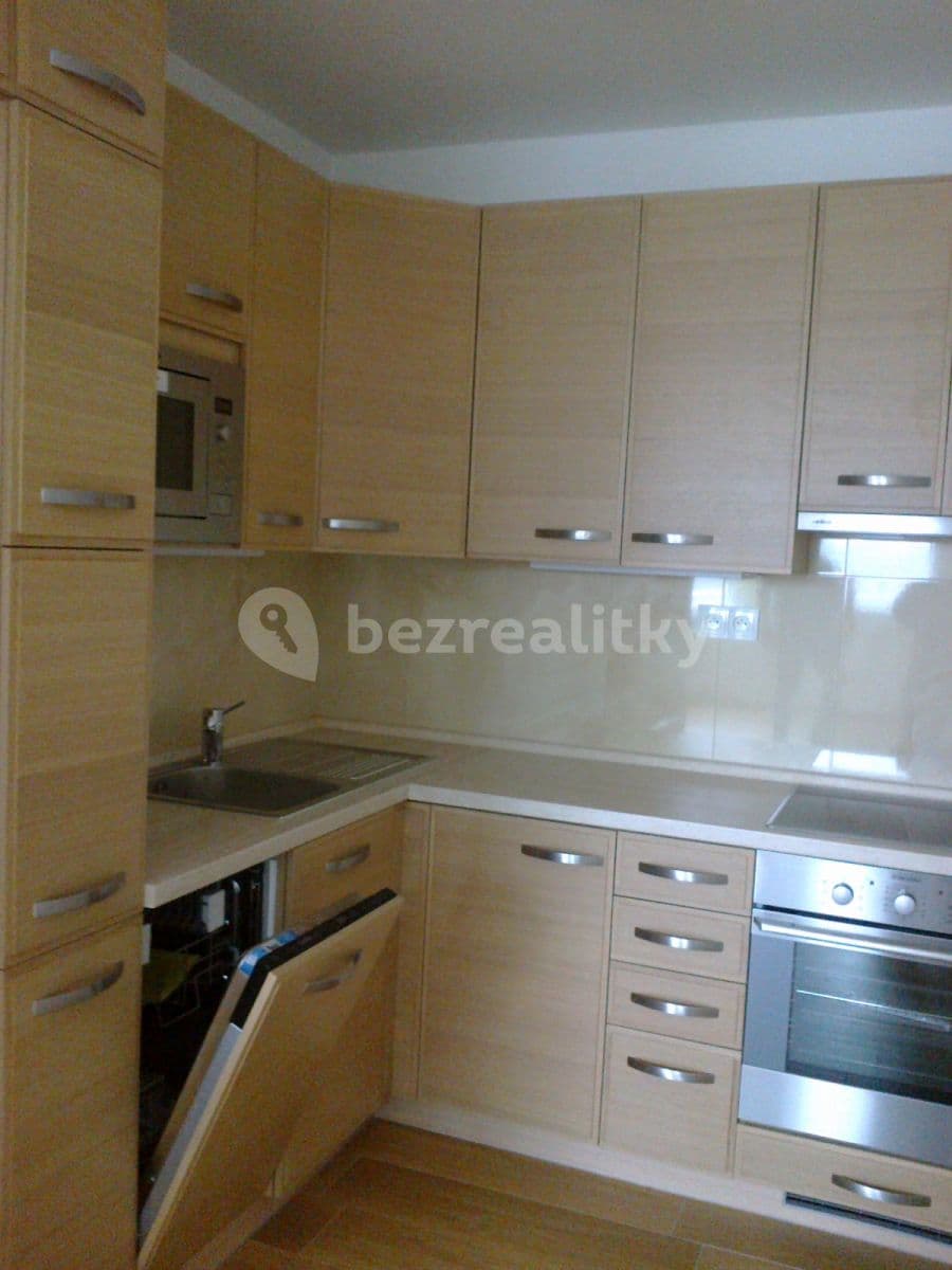 1 bedroom with open-plan kitchen flat to rent, 45 m², Hráského, Prague, Prague 1 bedroom with open-plan kitchen flat to rent, 45 m², Hráského, Prague, Prague