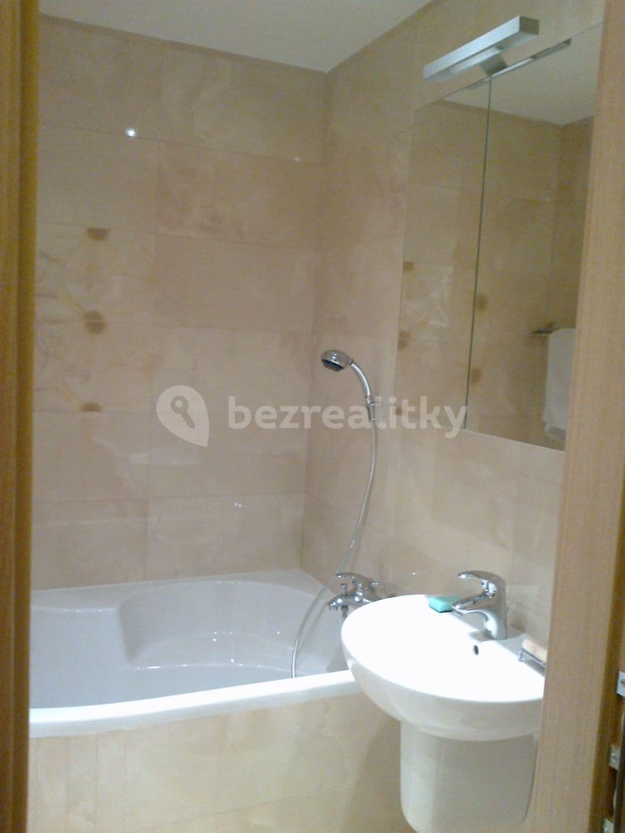 1 bedroom with open-plan kitchen flat to rent, 45 m², Hráského, Prague, Prague 1 bedroom with open-plan kitchen flat to rent, 45 m², Hráského, Prague, Prague