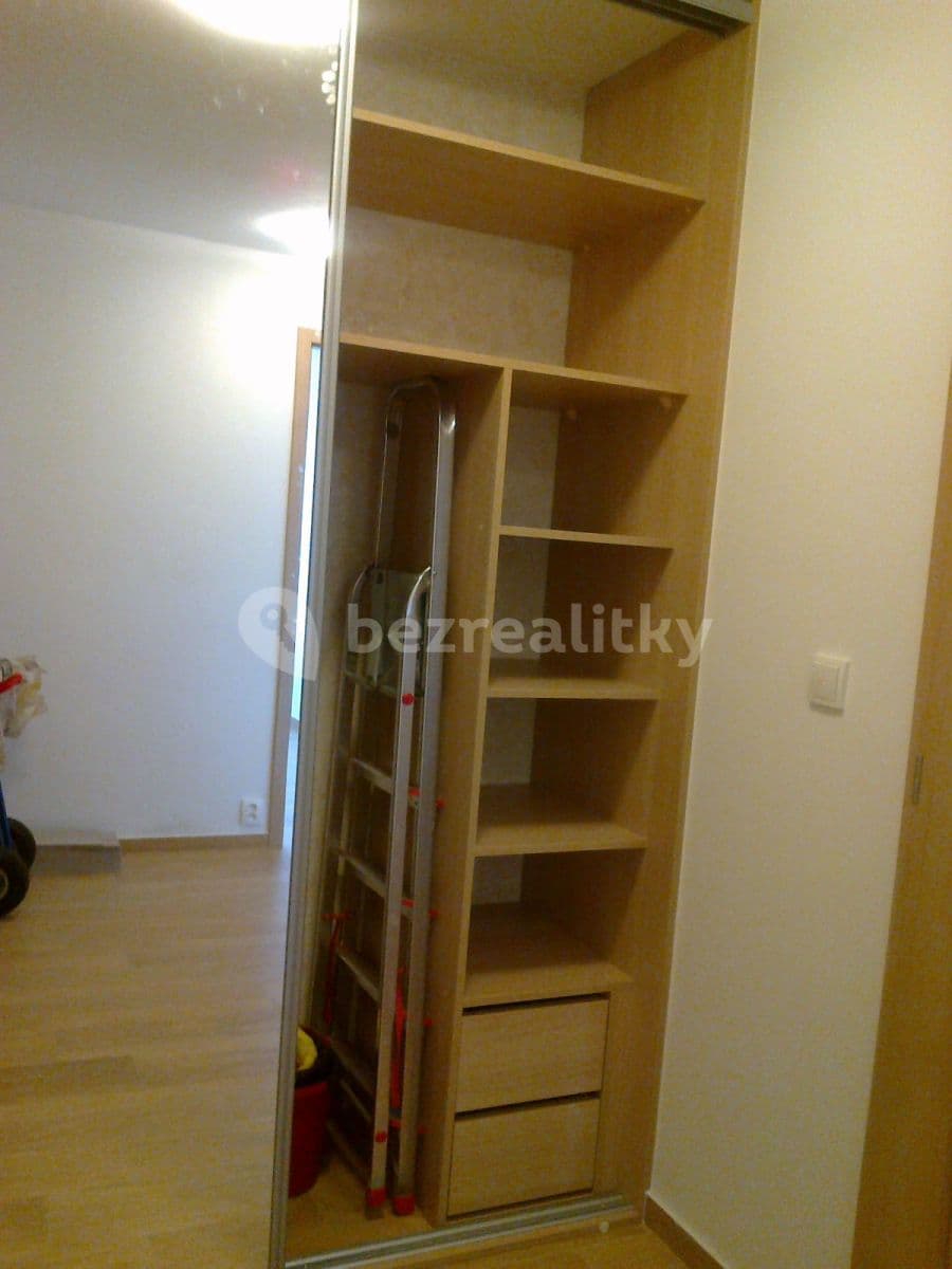 1 bedroom with open-plan kitchen flat to rent, 45 m², Hráského, Prague, Prague 1 bedroom with open-plan kitchen flat to rent, 45 m², Hráského, Prague, Prague