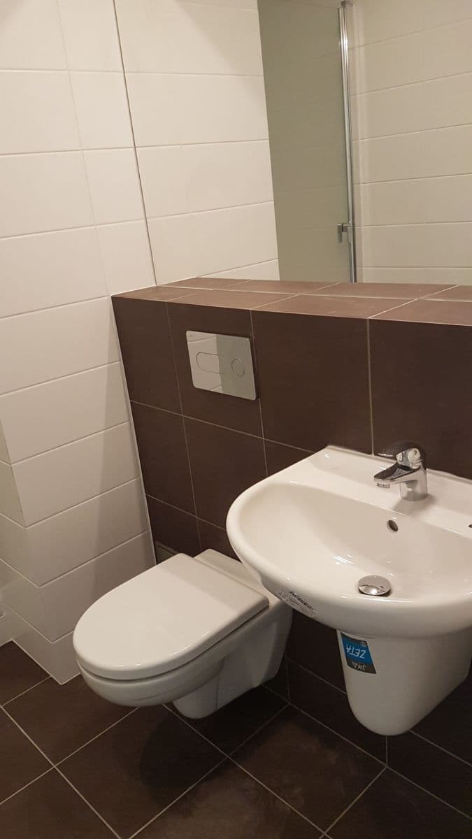 1 bedroom with open-plan kitchen flat to rent, 35 m², Krátký lán, Prague, Prague 1 bedroom with open-plan kitchen flat to rent, 35 m², Krátký lán, Prague, Prague