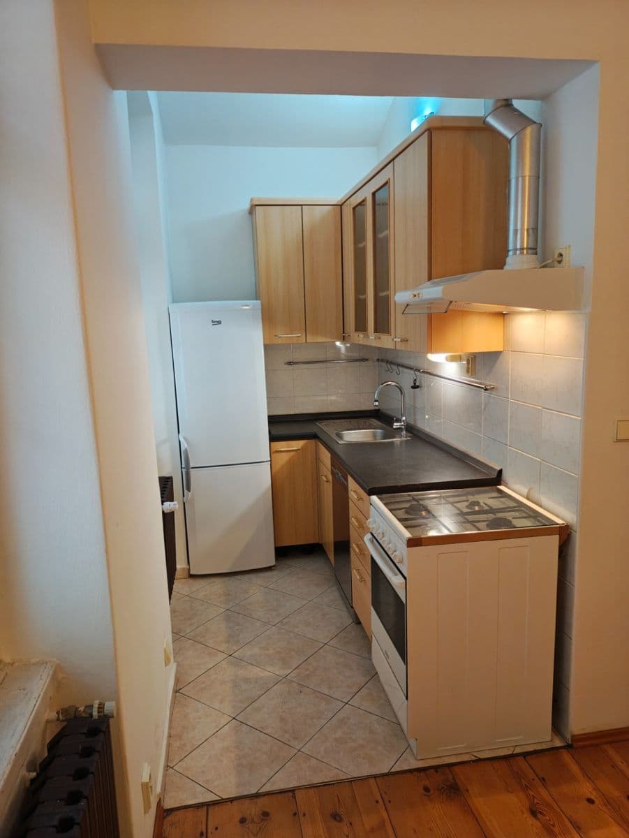 1 bedroom with open-plan kitchen flat to rent, 47 m², Roháčova, Prague, Prague 1 bedroom with open-plan kitchen flat to rent, 47 m², Roháčova, Prague, Prague