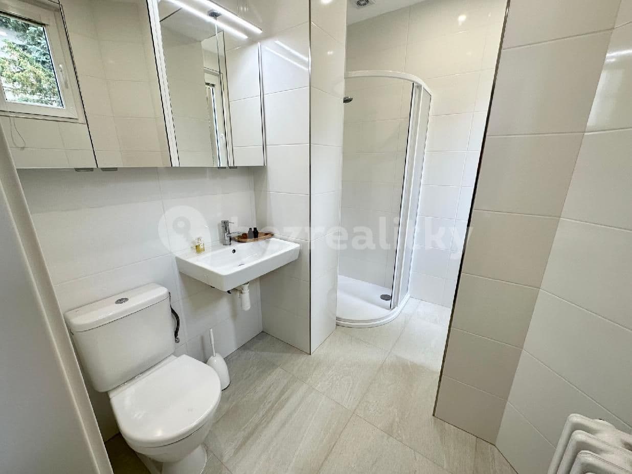 1 bedroom with open-plan kitchen flat to rent, 42 m², Na Pískách, Prague, Prague 1 bedroom with open-plan kitchen flat to rent, 42 m², Na Pískách, Prague, Prague