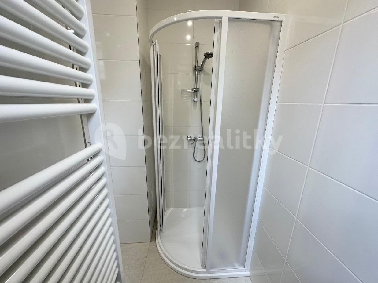 1 bedroom with open-plan kitchen flat to rent, 42 m², Na Pískách, Prague, Prague 1 bedroom with open-plan kitchen flat to rent, 42 m², Na Pískách, Prague, Prague