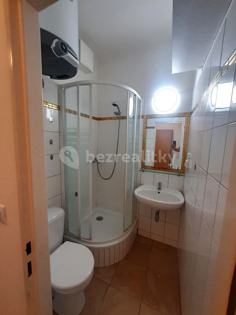 1 bedroom with open-plan kitchen flat to rent, 50 m², Valčíkova, Prague, Prague 1 bedroom with open-plan kitchen flat to rent, 50 m², Valčíkova, Prague, Prague