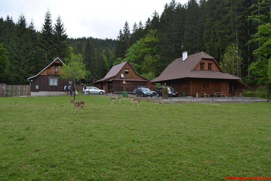 recreational property to rent, 0 m², Velké Karlovice, Zlínský Region recreational property to rent, 0 m², Velké Karlovice, Zlínský Region