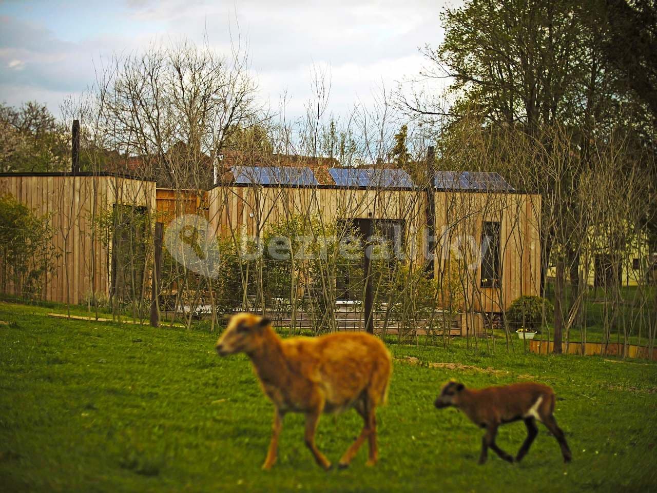 recreational property to rent, 0 m², Vysoká u Příbramě, Středočeský Region recreational property to rent, 0 m², Vysoká u Příbramě, Středočeský Region