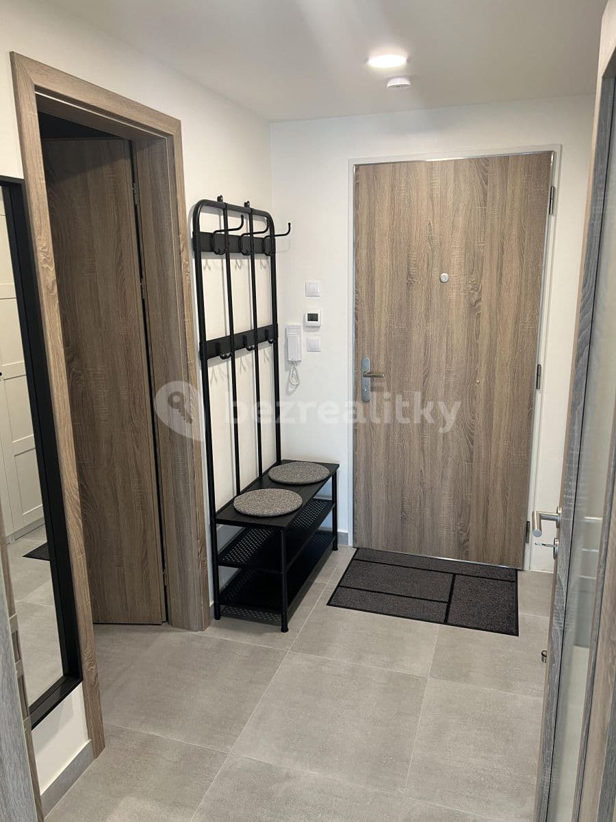 1 bedroom with open-plan kitchen flat to rent, 57 m², U Radosti, Prague, Prague 1 bedroom with open-plan kitchen flat to rent, 57 m², U Radosti, Prague, Prague