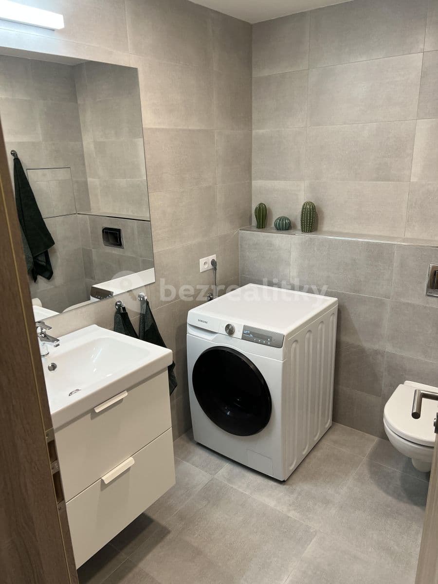 1 bedroom with open-plan kitchen flat to rent, 57 m², U Radosti, Prague, Prague 1 bedroom with open-plan kitchen flat to rent, 57 m², U Radosti, Prague, Prague