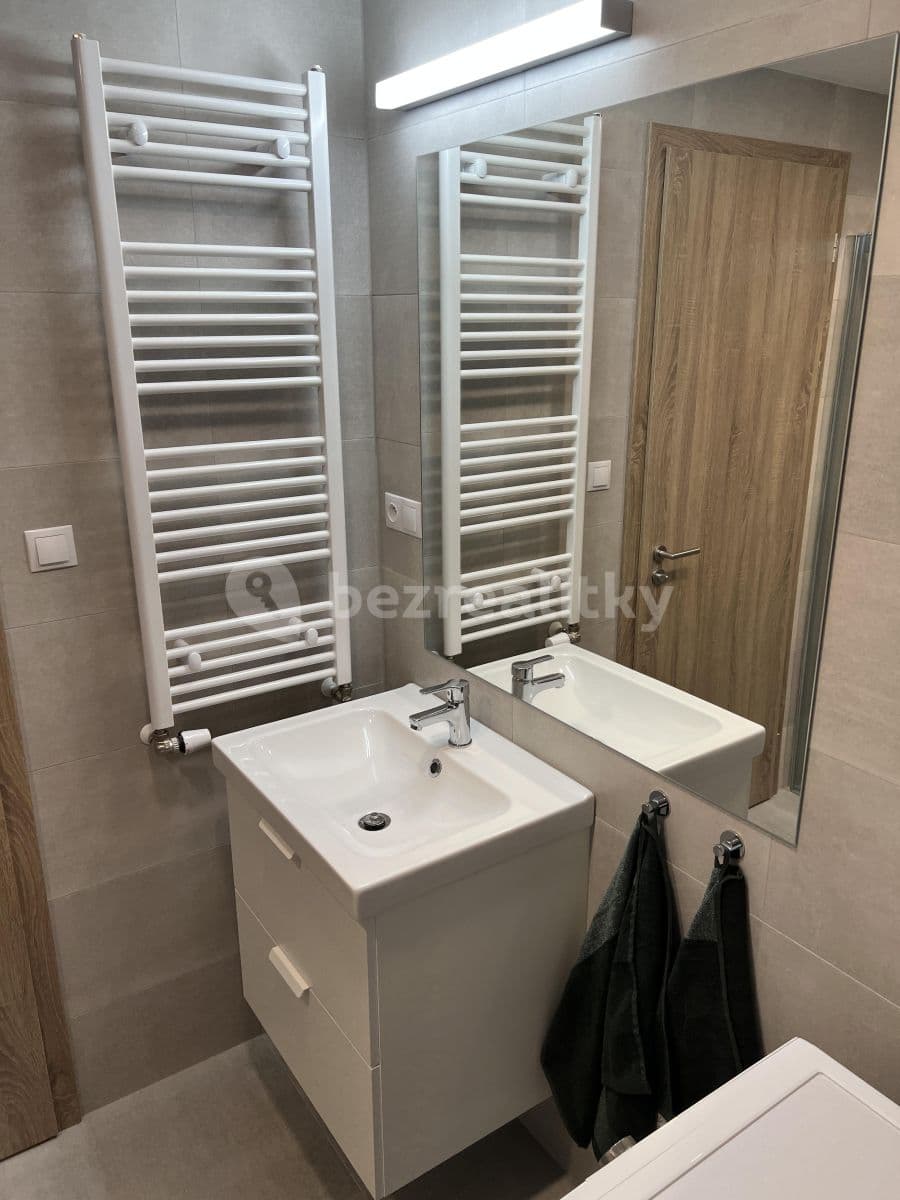 1 bedroom with open-plan kitchen flat to rent, 57 m², U Radosti, Prague, Prague 1 bedroom with open-plan kitchen flat to rent, 57 m², U Radosti, Prague, Prague