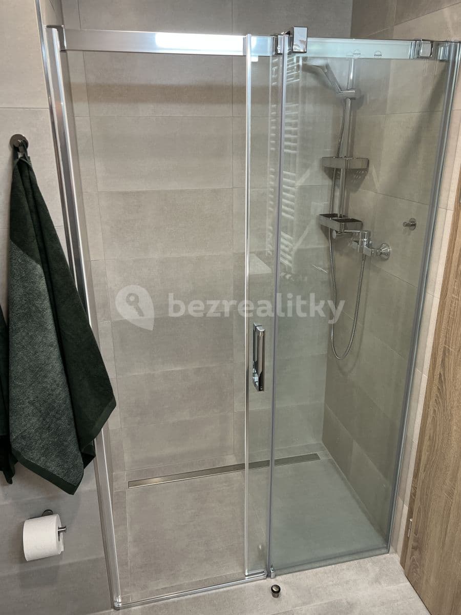 1 bedroom with open-plan kitchen flat to rent, 57 m², U Radosti, Prague, Prague 1 bedroom with open-plan kitchen flat to rent, 57 m², U Radosti, Prague, Prague