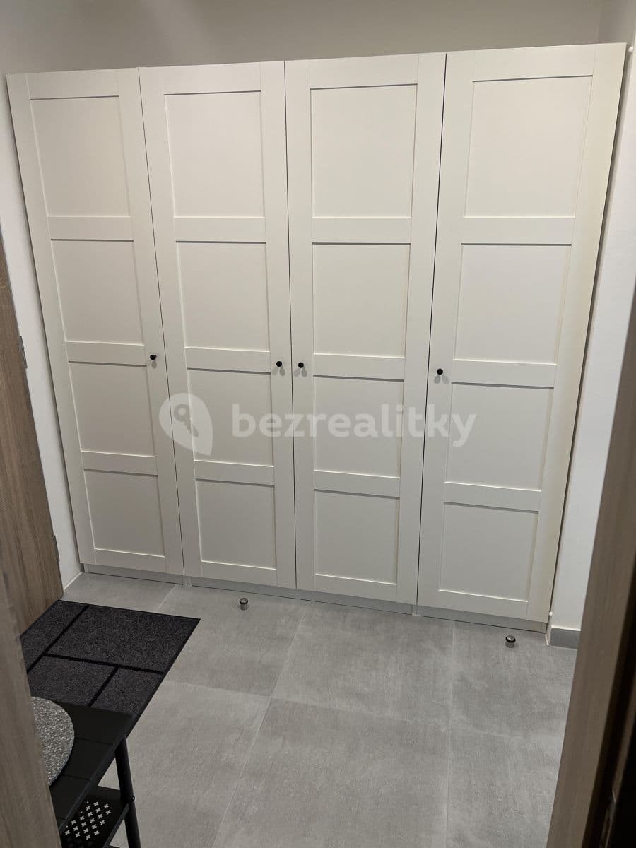 1 bedroom with open-plan kitchen flat to rent, 57 m², U Radosti, Prague, Prague 1 bedroom with open-plan kitchen flat to rent, 57 m², U Radosti, Prague, Prague