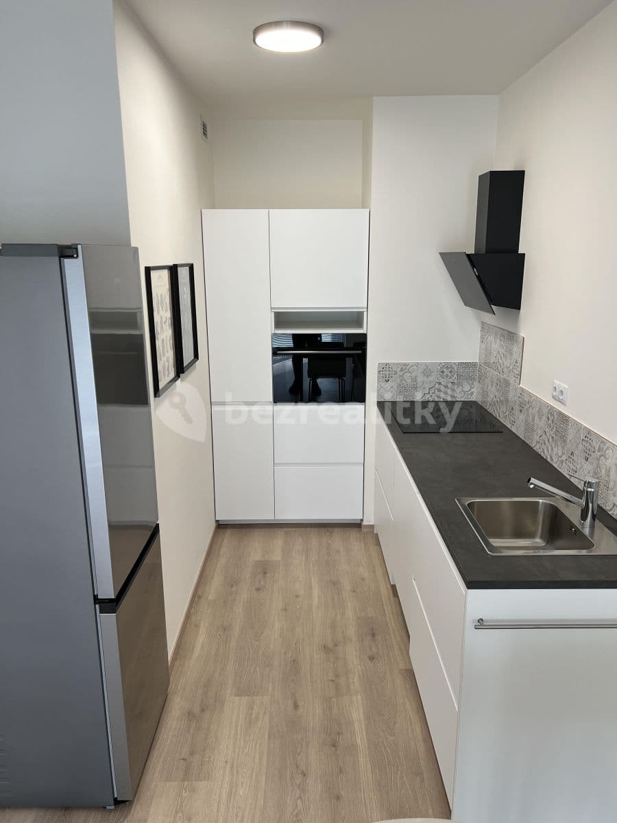 1 bedroom with open-plan kitchen flat to rent, 57 m², U Radosti, Prague, Prague 1 bedroom with open-plan kitchen flat to rent, 57 m², U Radosti, Prague, Prague