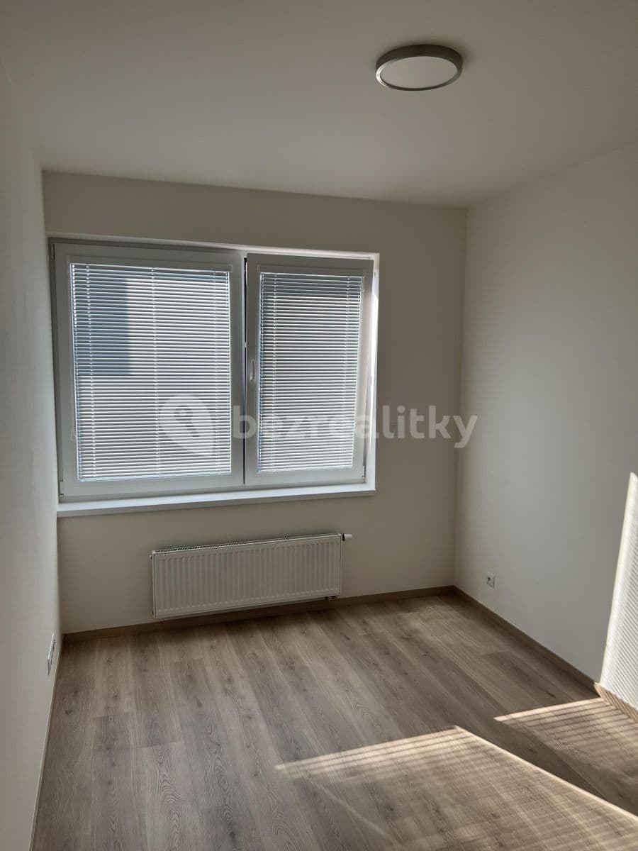 1 bedroom with open-plan kitchen flat to rent, 57 m², U Radosti, Prague, Prague 1 bedroom with open-plan kitchen flat to rent, 57 m², U Radosti, Prague, Prague