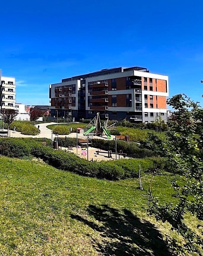 1 bedroom with open-plan kitchen flat to rent, 57 m², U Radosti, Prague, Prague 1 bedroom with open-plan kitchen flat to rent, 57 m², U Radosti, Prague, Prague
