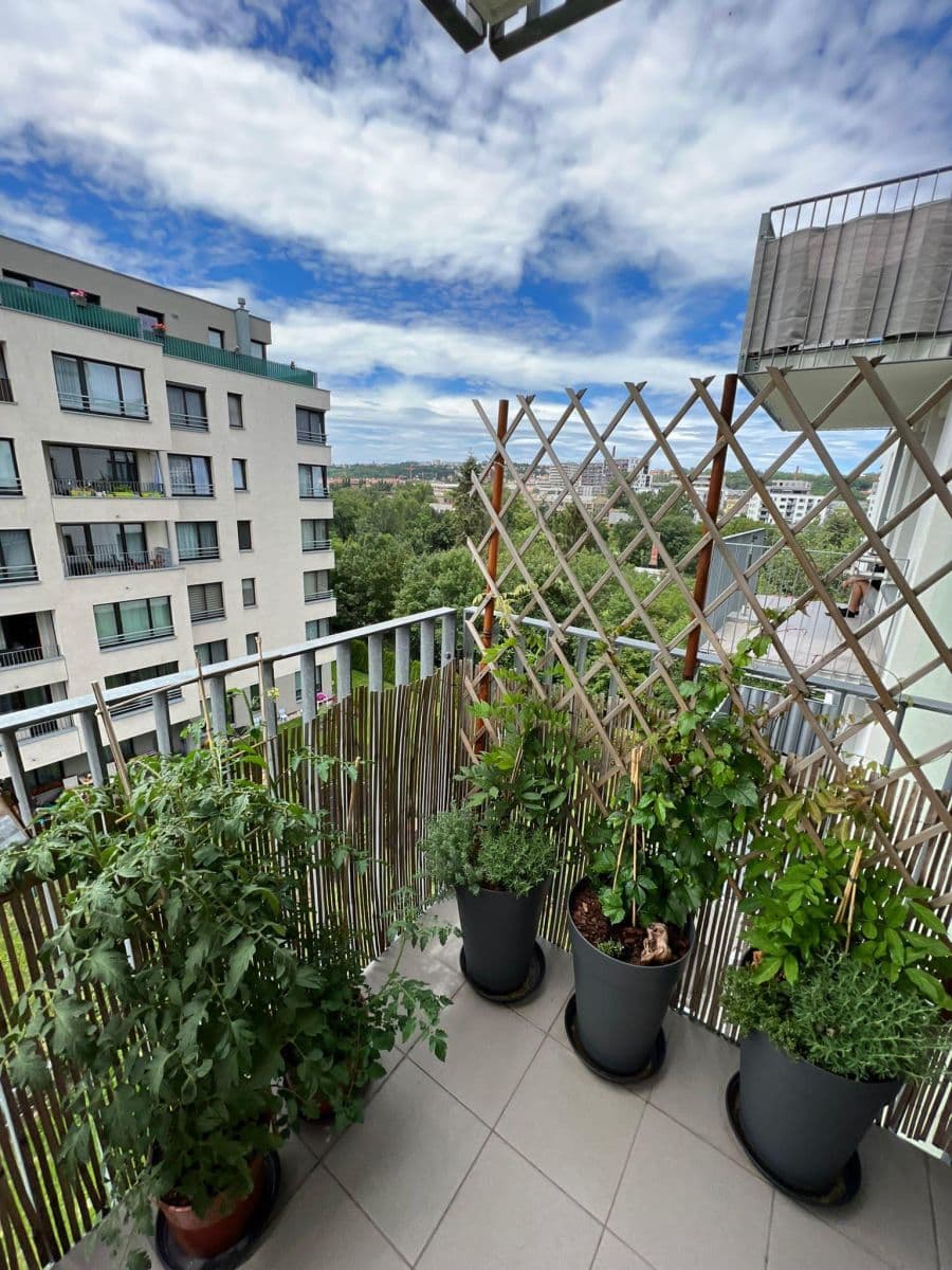 1 bedroom with open-plan kitchen flat to rent, 58 m², Sousedíkova, Prague, Prague 1 bedroom with open-plan kitchen flat to rent, 58 m², Sousedíkova, Prague, Prague