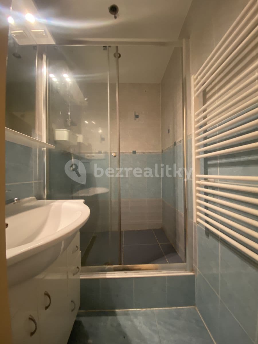 1 bedroom with open-plan kitchen flat to rent, 43 m², Ohradní, Prague, Prague 1 bedroom with open-plan kitchen flat to rent, 43 m², Ohradní, Prague, Prague