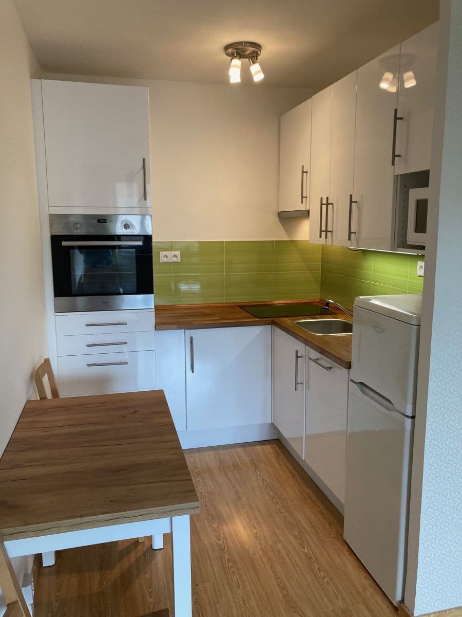 1 bedroom with open-plan kitchen flat to rent, 44 m², Nad Starou pískovnou, Prague, Prague 1 bedroom with open-plan kitchen flat to rent, 44 m², Nad Starou pískovnou, Prague, Prague