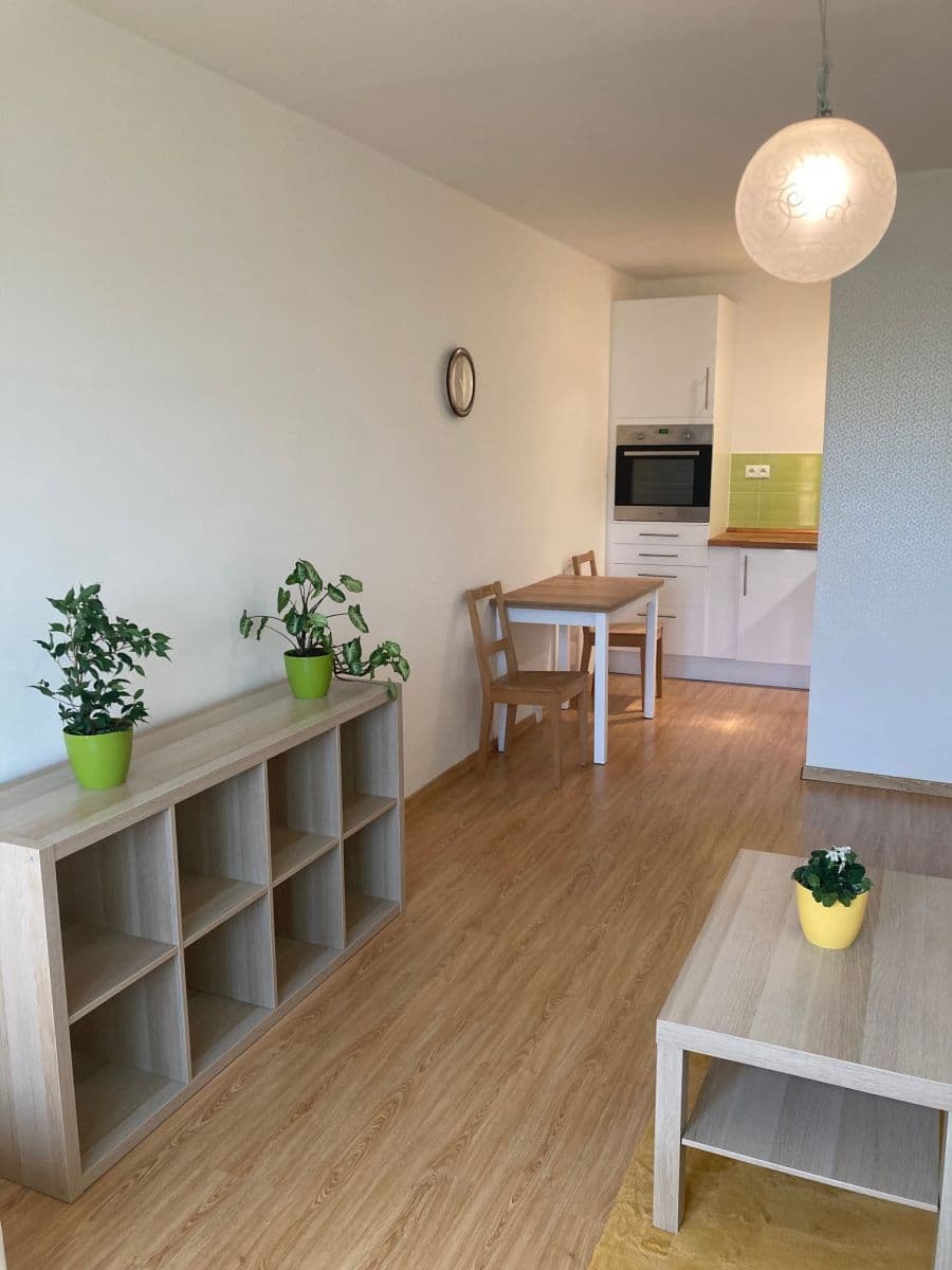 1 bedroom with open-plan kitchen flat to rent, 44 m², Nad Starou pískovnou, Prague, Prague 1 bedroom with open-plan kitchen flat to rent, 44 m², Nad Starou pískovnou, Prague, Prague