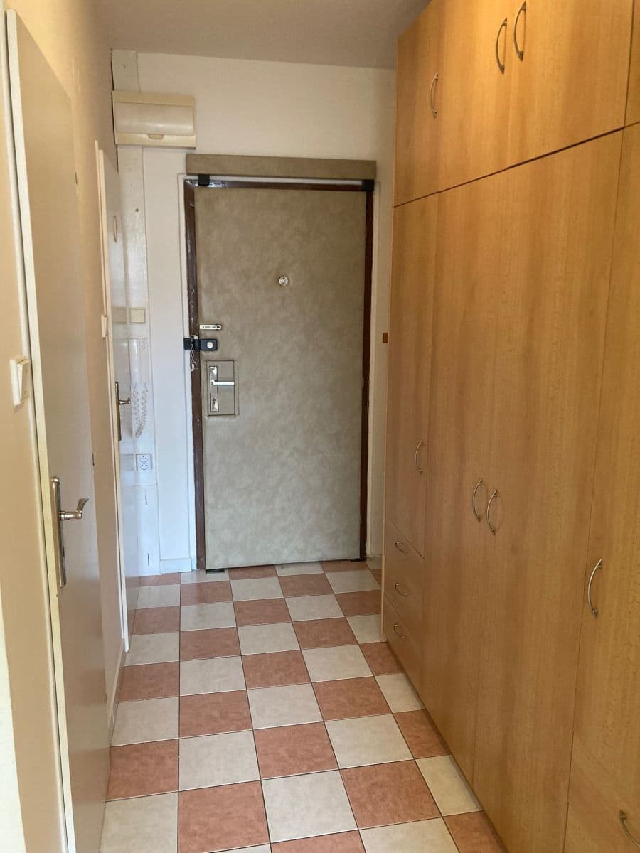 1 bedroom with open-plan kitchen flat to rent, 44 m², Nad Starou pískovnou, Prague, Prague 1 bedroom with open-plan kitchen flat to rent, 44 m², Nad Starou pískovnou, Prague, Prague