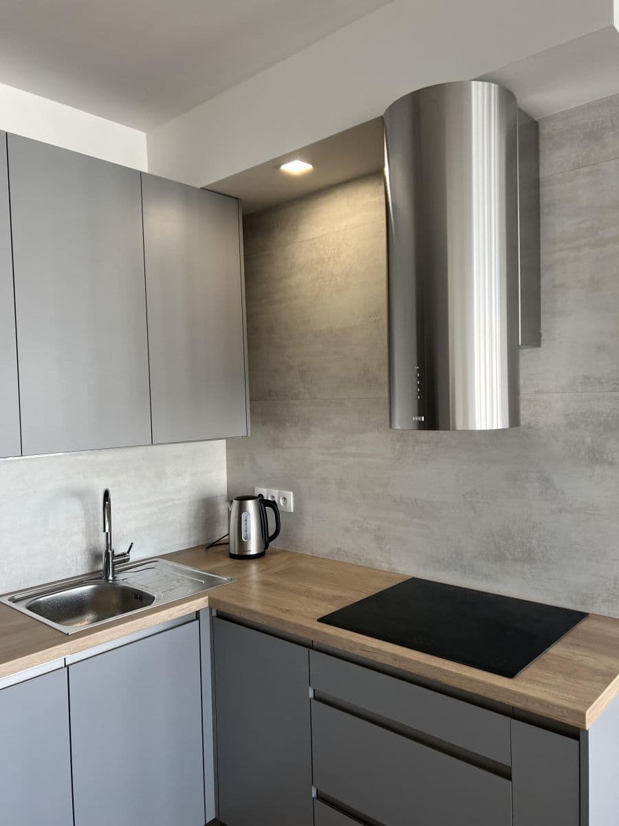 1 bedroom with open-plan kitchen flat to rent, 59 m², Františka Kadlece, Prague, Prague 1 bedroom with open-plan kitchen flat to rent, 59 m², Františka Kadlece, Prague, Prague