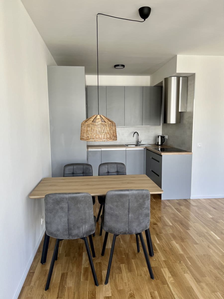 1 bedroom with open-plan kitchen flat to rent, 59 m², Františka Kadlece, Prague, Prague 1 bedroom with open-plan kitchen flat to rent, 59 m², Františka Kadlece, Prague, Prague