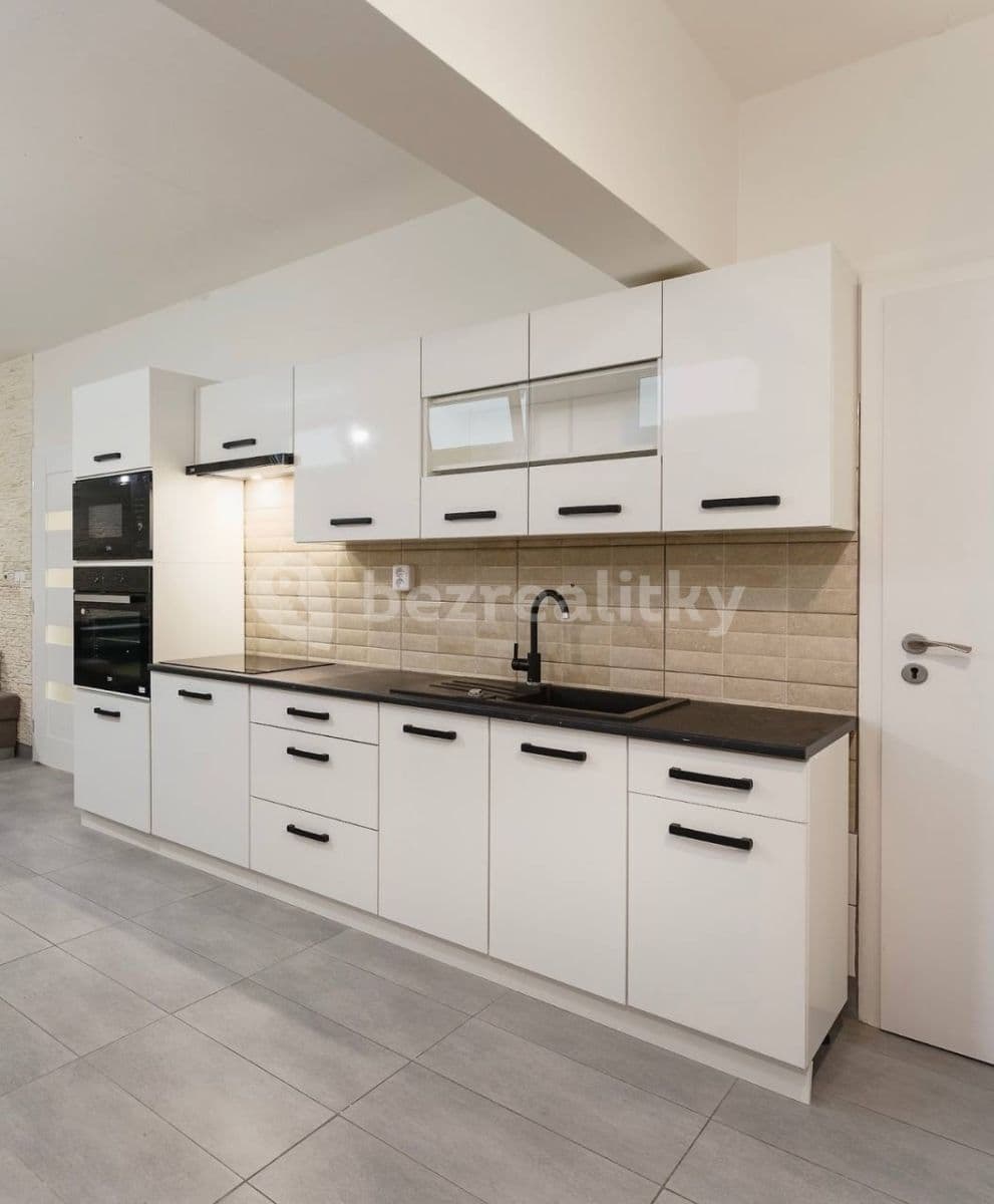 1 bedroom with open-plan kitchen flat to rent, 51 m², Třinecká, Prague, Prague 1 bedroom with open-plan kitchen flat to rent, 51 m², Třinecká, Prague, Prague