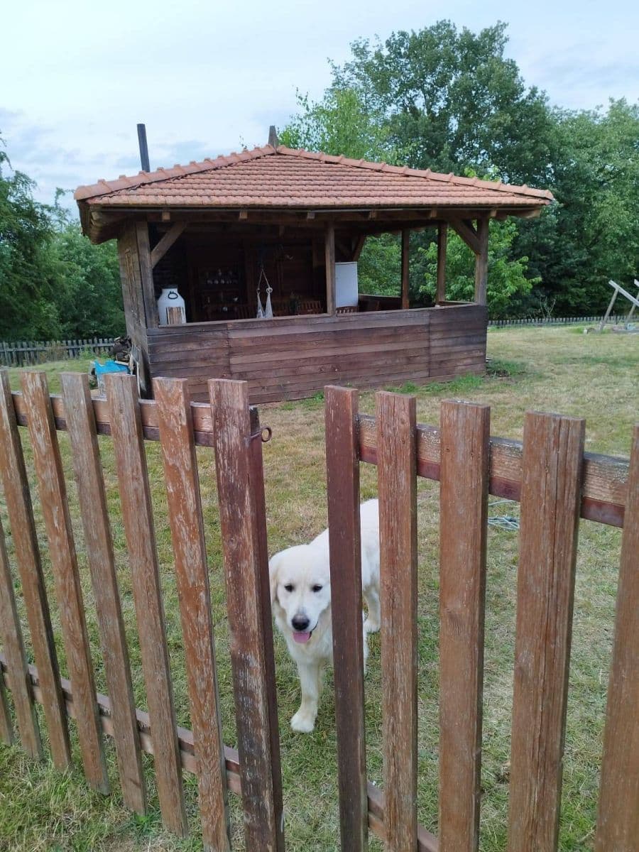 recreational property to rent, 0 m², Červená Řečice, Vysočina Region recreational property to rent, 0 m², Červená Řečice, Vysočina Region