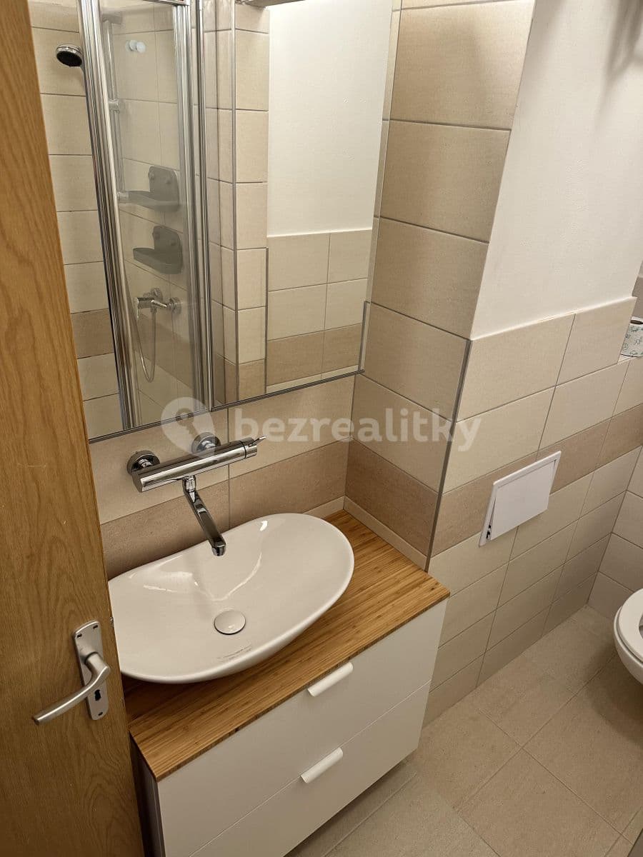 1 bedroom with open-plan kitchen flat to rent, 40 m², Hartigova, Prague, Prague 1 bedroom with open-plan kitchen flat to rent, 40 m², Hartigova, Prague, Prague
